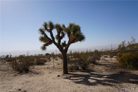 62315 Aberdeen Dr, Joshua Tree, CA 92252 photo 7