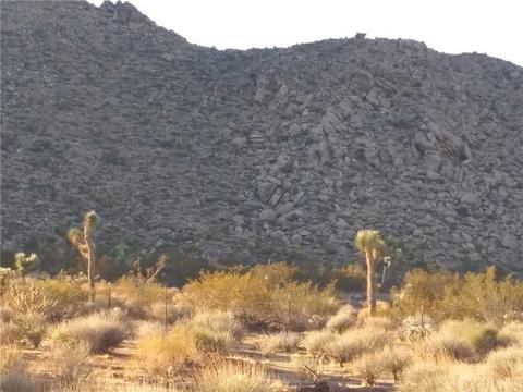 63747 Quail Springs Rd, Joshua Tree, CA 92252 photo 9