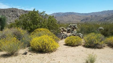 63747 Quail Springs Rd, Joshua Tree, CA 92252 photo 8
