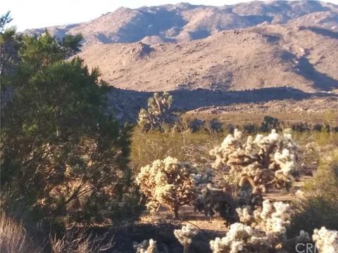 63747 Quail Springs Rd, Joshua Tree, CA 92252 photo 10