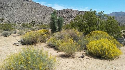 63747 Quail Springs Rd, Joshua Tree, CA 92252 photo 7