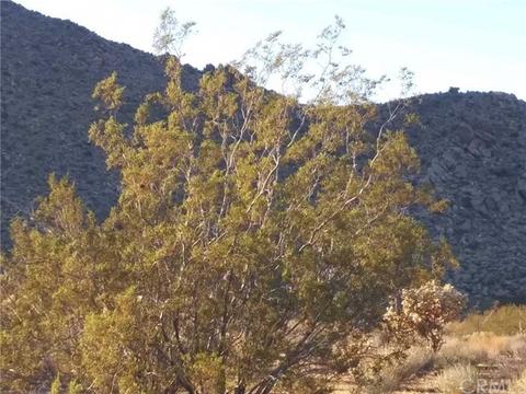 63747 Quail Springs Rd, Joshua Tree, CA 92252 photo 15