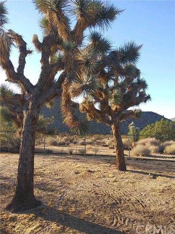 63747 Quail Springs Rd, Joshua Tree, CA 92252 photo 13