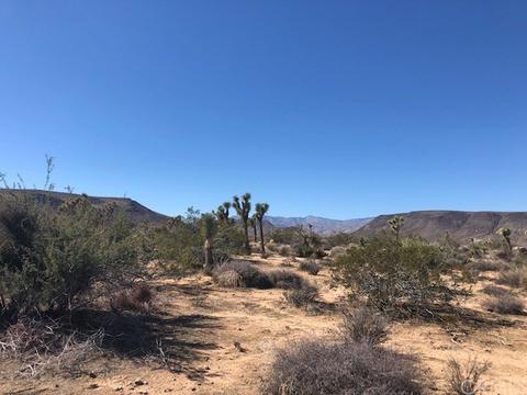 56512 Aberdeen Dr, Yucca Valley, CA 92284 photo 16