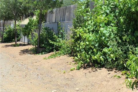3916 Cedar Ave, Clearlake, CA 95422 photo 23