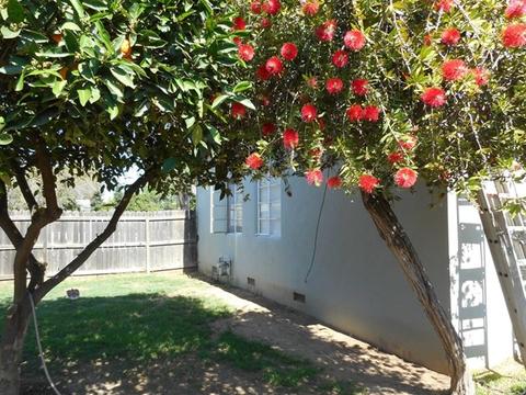2320 V St, Merced, CA 95340 photo 14