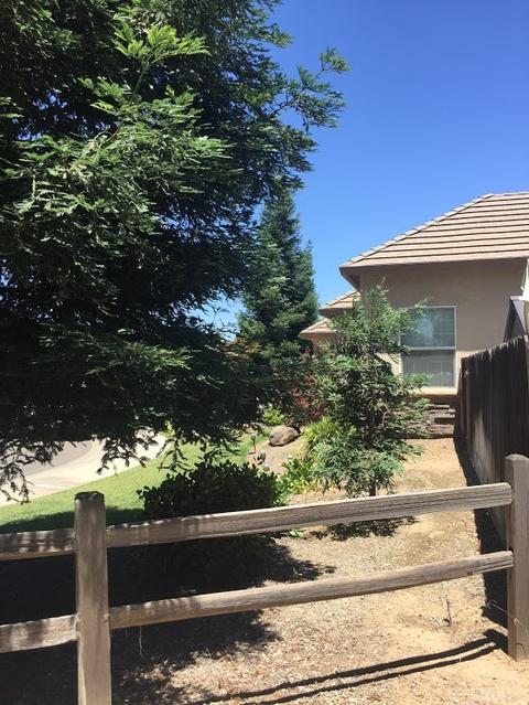 3902 Palmer Ct, Merced, CA 95340 photo 17