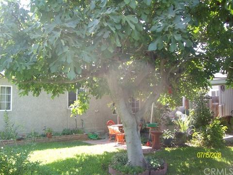 1715 Almond Ave, Merced, CA 95341 photo 16