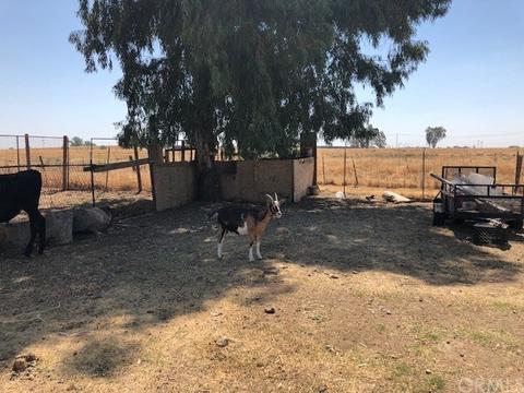 24588 Brook Dr, Madera, CA 93638 photo 50