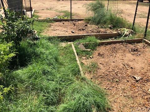 24588 Brook Dr, Madera, CA 93638 photo 53