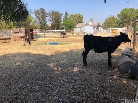 24588 Brook Dr, Madera, CA 93638 photo 49