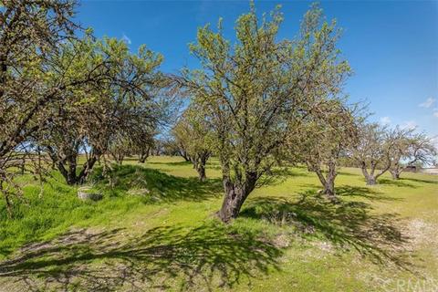 1150 Mountain Springs Rd, Paso Robles, CA 93446 photo 33
