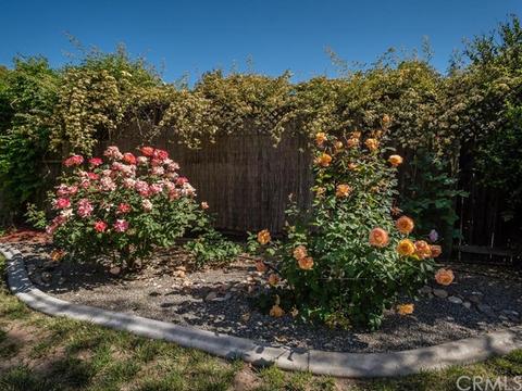 206 Warbler Ct, Paso Robles, CA 93446 photo 30