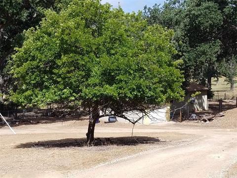 5500 Cascabel Rd, Atascadero, CA 93422 photo 7
