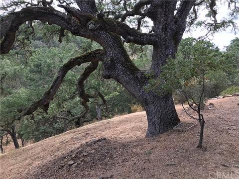 10905 Cebada Rd, Atascadero, CA 93422 photo 18