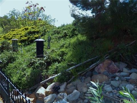 119 Olive St, Paso Robles, CA 93446 photo 18