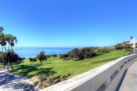 25192 Danalaurel, Dana Point, CA 92629 photo 66