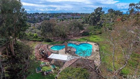 25192 Danalaurel, Dana Point, CA 92629 photo 57