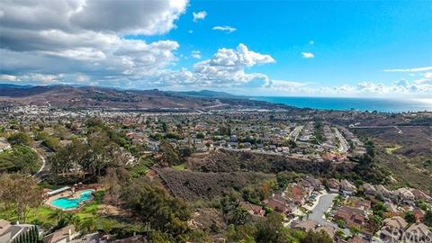25192 Danalaurel, Dana Point, CA 92629 photo 54