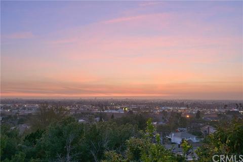 2246 E Orangeview Ln, Orange, CA 92867 photo 47