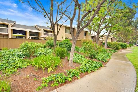 228 Pineview, Irvine, CA 92620 photo 24