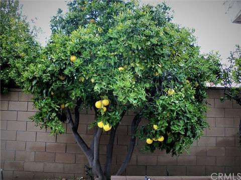 470 Deborah Ct, Upland, CA 91784 photo 31