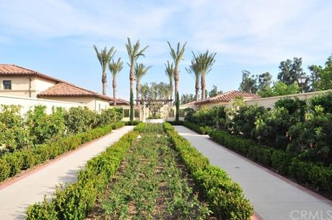 70 Navigator, Irvine, CA 92620 photo 44
