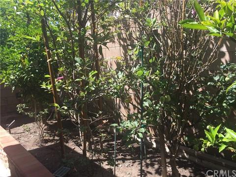 25 Cassidy, Irvine, CA 92620 photo 3