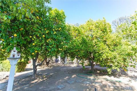 832 Hamilton Ln, Escondido, CA 92029 photo 22
