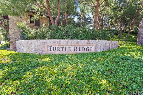 121 Roadrunner, Irvine, CA 92603 photo 37