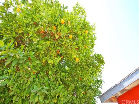 4706 Grape St, Pico Rivera, CA 90660 photo 10