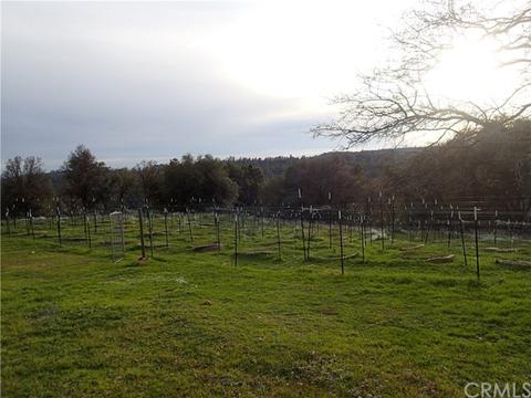 9 Shores, Oroville, CA 95965 photo 8