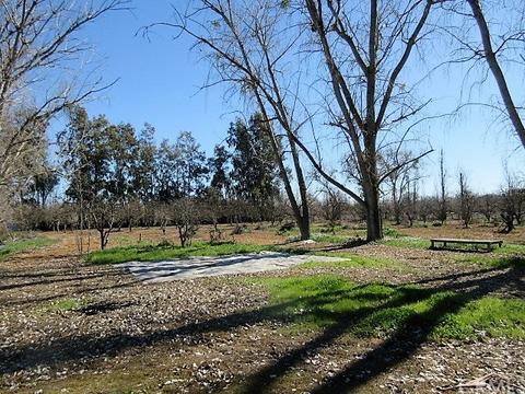 2279 W Biggs, Gridley, CA 95948 photo 11