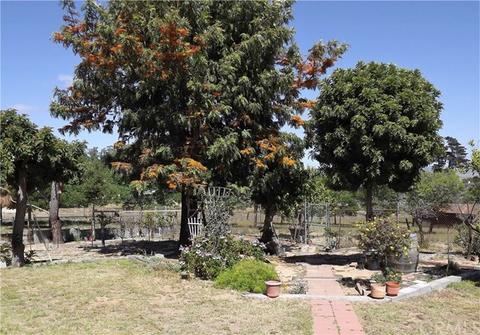 605 Story St, Nipomo, CA 93444 photo 31