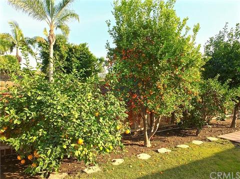1916 E Luray St, Long Beach, CA 90807 photo 40