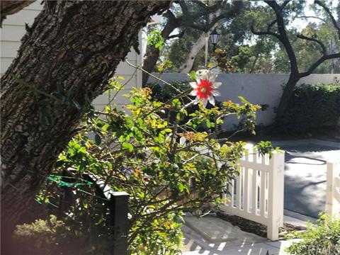 43 Wintermist #37, Irvine, CA 92614 photo 26