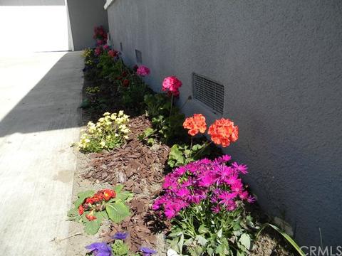 1100 Meade Ave, Fullerton, CA 92833 photo 25