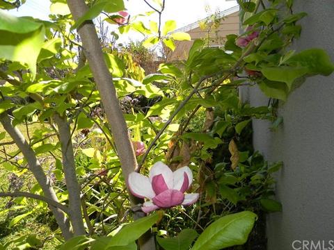 1100 Meade Ave, Fullerton, CA 92833 photo 37