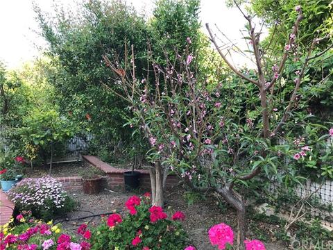 12 Lexington, Irvine, CA 92620 photo 49