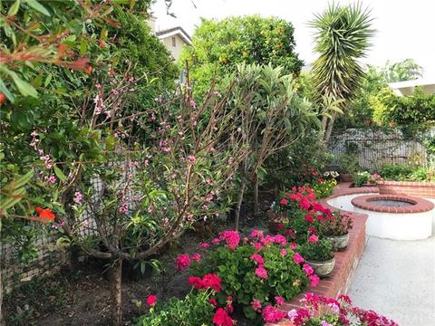 12 Lexington, Irvine, CA 92620 photo 47