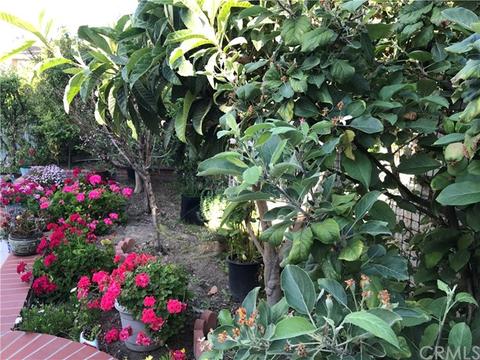 12 Lexington, Irvine, CA 92620 photo 48