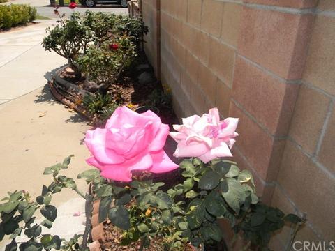 325 E Quincy Ave, Orange, CA 92867 photo 22