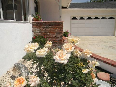 325 E Quincy Ave, Orange, CA 92867 photo 56