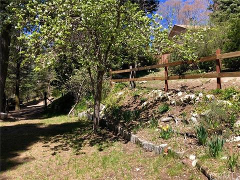384 Cedar Brook Dr, Twin Peaks, CA 92391 photo 16
