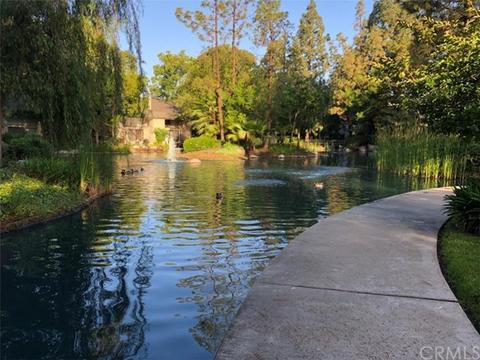 4900 E Chapman Ave #50, Orange, CA 92869 photo 34