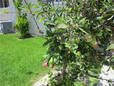 5234 Melbourne Dr, Cypress, CA 90630 photo 27