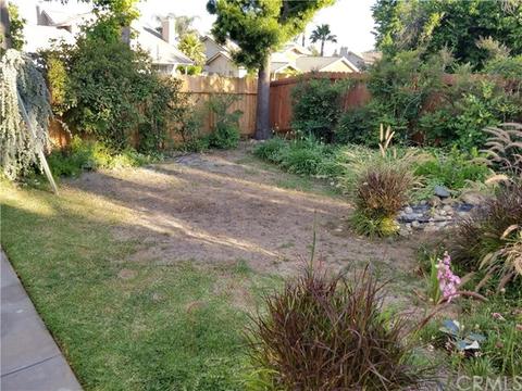 2428 Koa Dr, Rialto, CA 92377 photo 23
