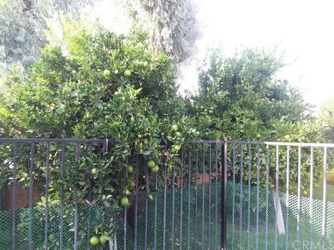 563 Cliffwood Ave, Brea, CA 92821 photo 3