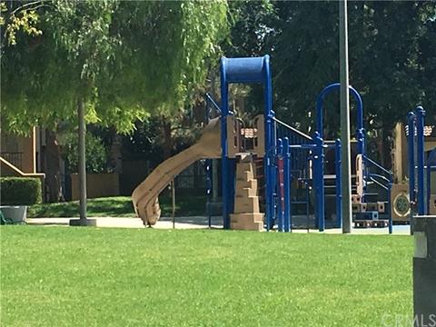 79 Waterman, Irvine, CA 92602 photo 24