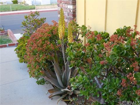 344 W 231st St, Carson, CA 90745 photo 17